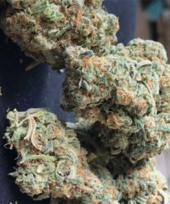 Bubba OG Cannabis