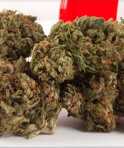 Buy Diablo OG Kush Strain online