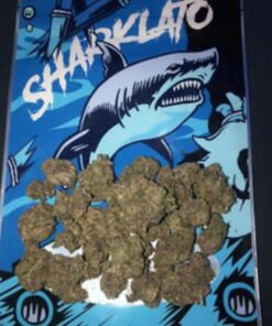 Sharklato Runtz for sale