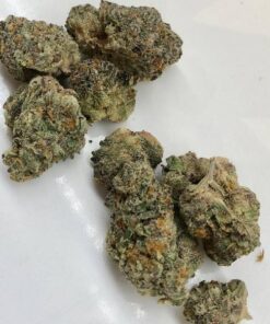 Buy biscotti weed strain