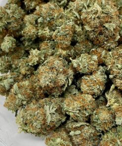 Buy OG Kush
