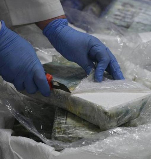 Buy Fish scale Cocaine Online